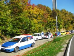 Avala 2017