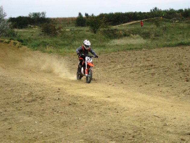 L. Janković 37