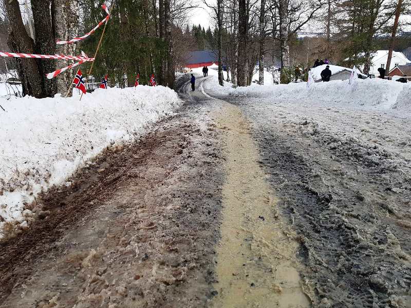 Švedska WRC bljuzgavica
