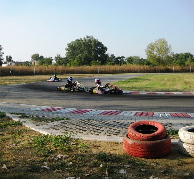 Leon Zelenko 208