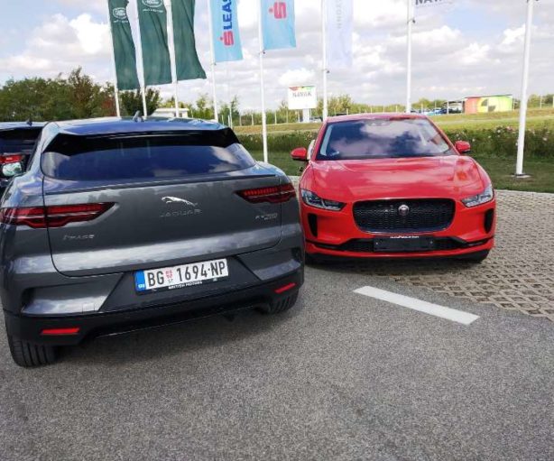 Jaguar I - Pace stigao u SrbijuJaguar I - Pace stigao u Srbiju