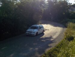 Dejan Pejić i Dušan Đoković