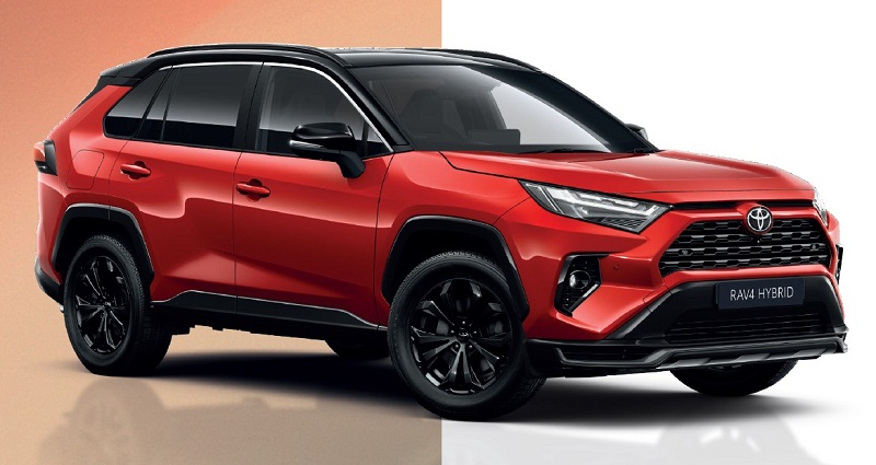RAV4 pola-pola