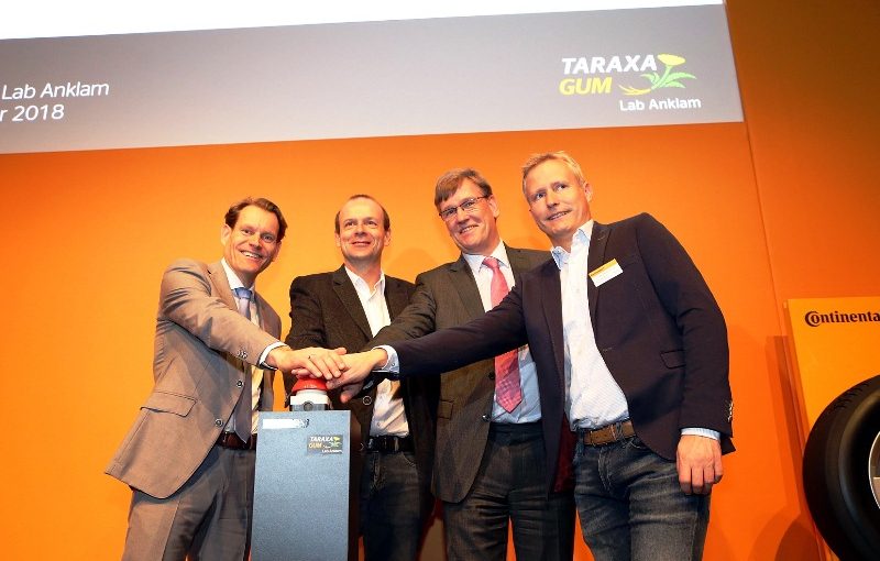 Taraxa Gum