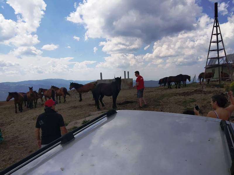 II BGD Off road Stolovi MX Trešnjari jul 2109 g
