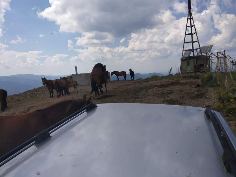II BGD Off road Stolovi MX Trešnjari jul 2109 h