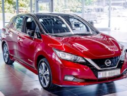 Nissan Leaf 500 000