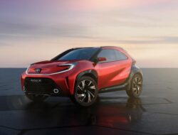 AYGO CROSS