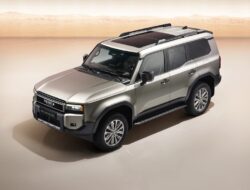 Land cruiser