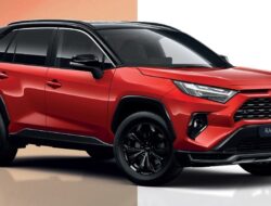 RAV4 pola-pola